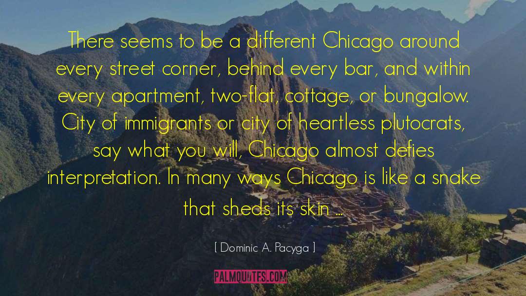 Arreglado Street quotes by Dominic A. Pacyga