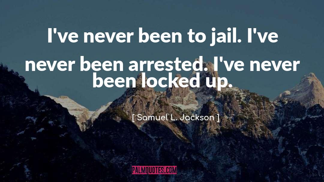 Arrested quotes by Samuel L. Jackson