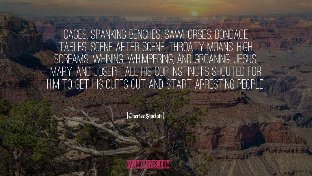 Arresting quotes by Cherise Sinclair