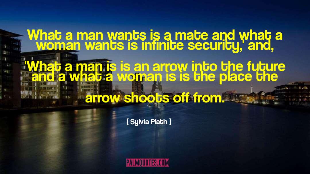 Arrow quotes by Sylvia Plath