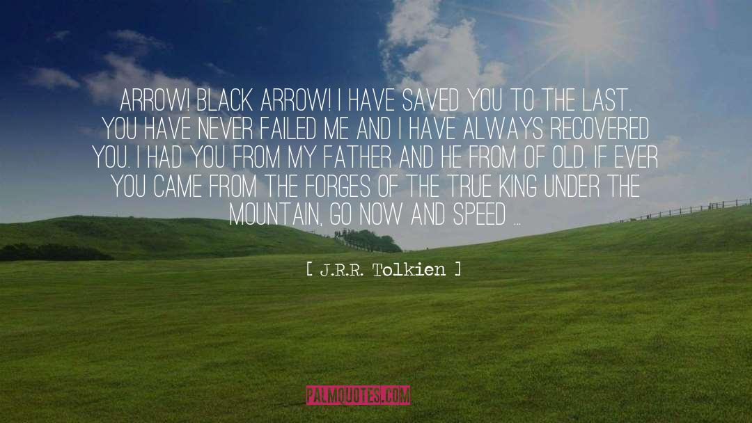 Arrows quotes by J.R.R. Tolkien