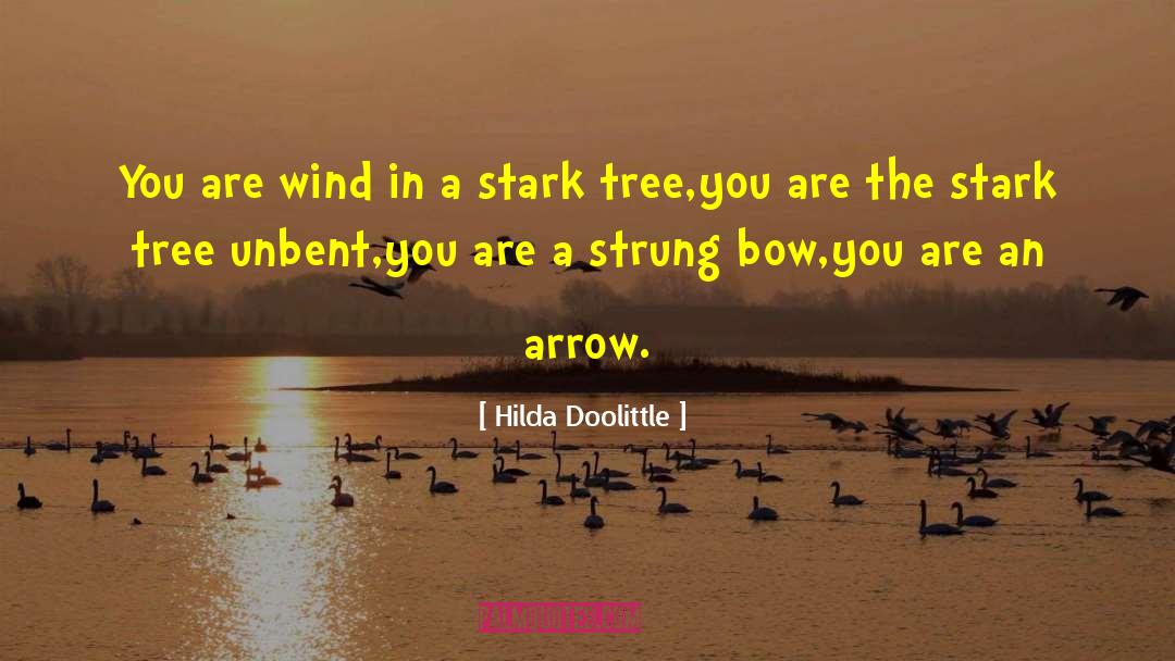 Arrows quotes by Hilda Doolittle