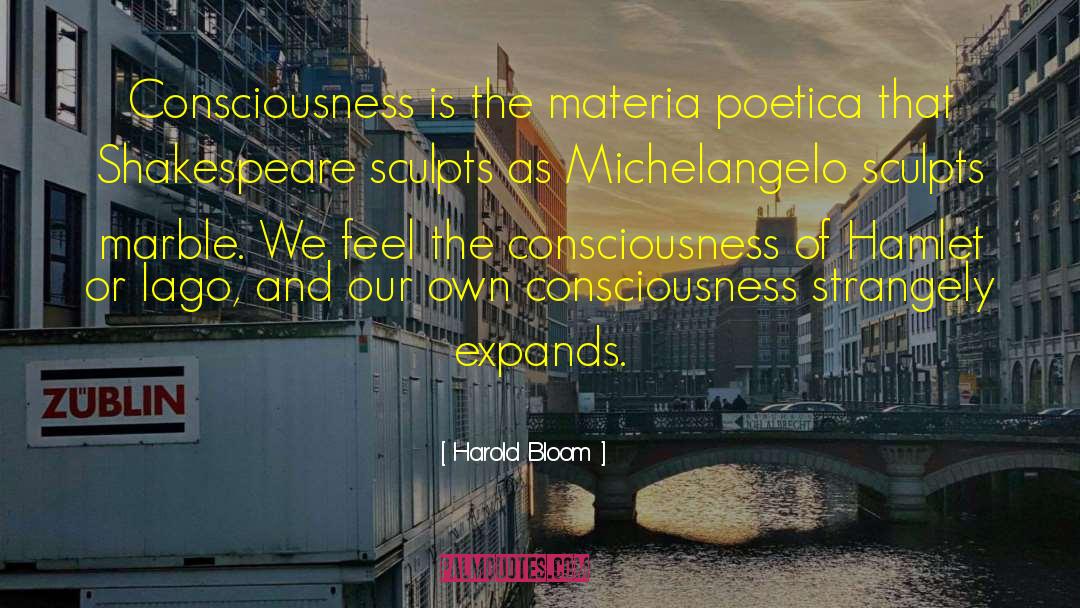 Arroz Poetica quotes by Harold Bloom
