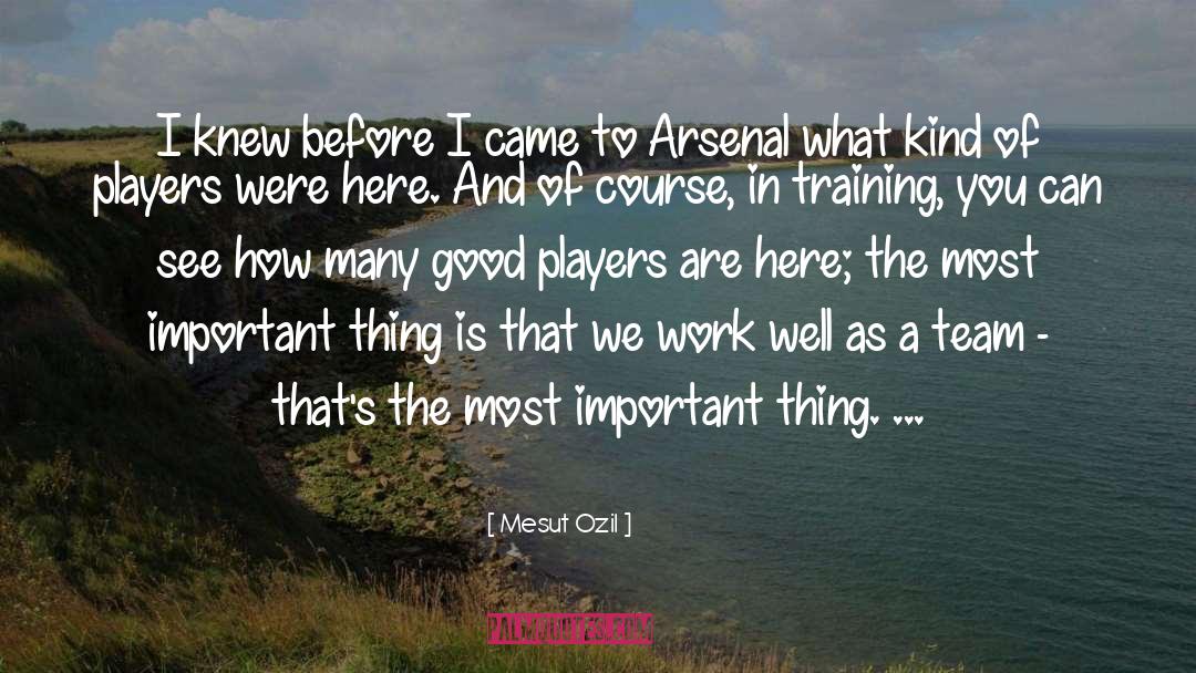 Arsenal Fc quotes by Mesut Ozil