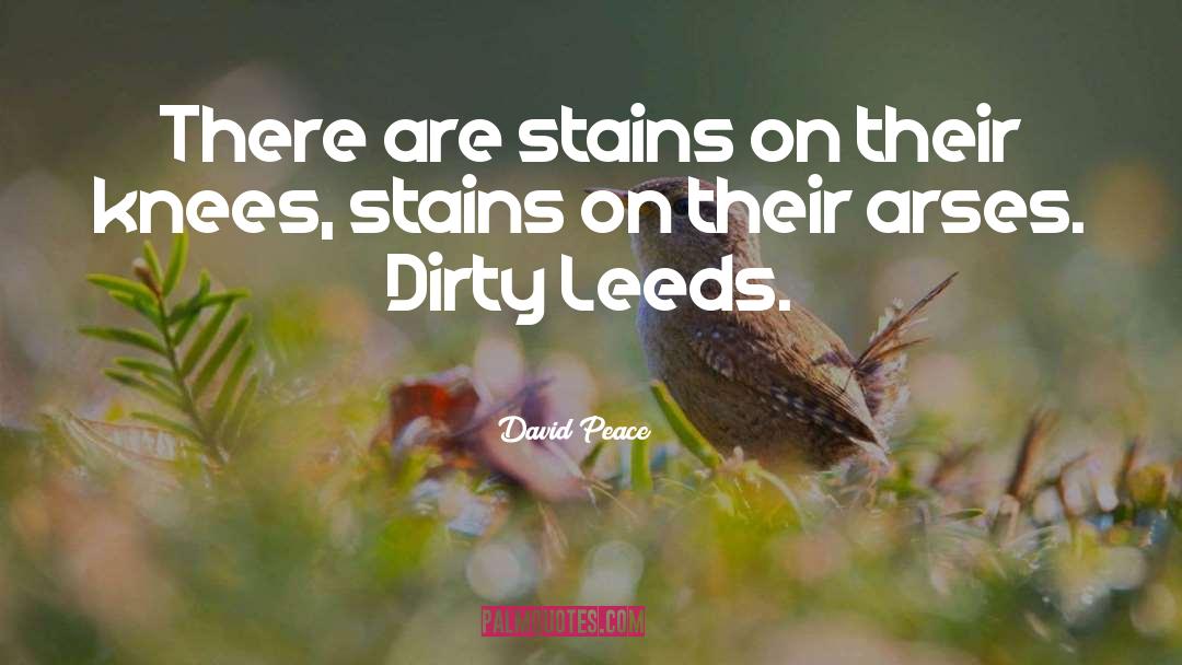 Arses quotes by David Peace