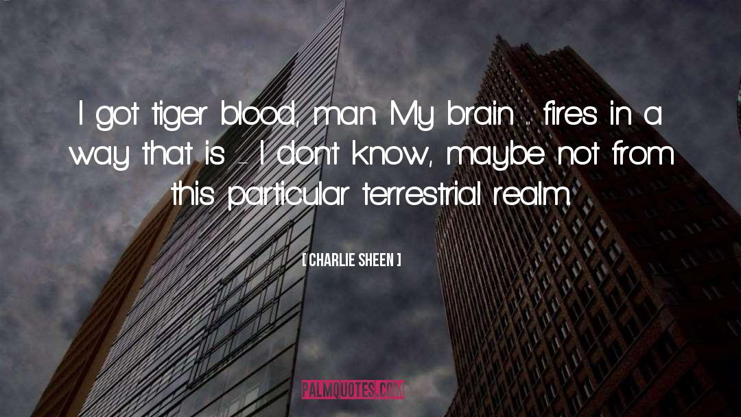 Arson Fires quotes by Charlie Sheen
