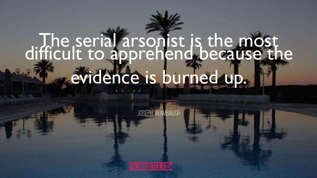 Arsonists quotes by Joseph Wambaugh