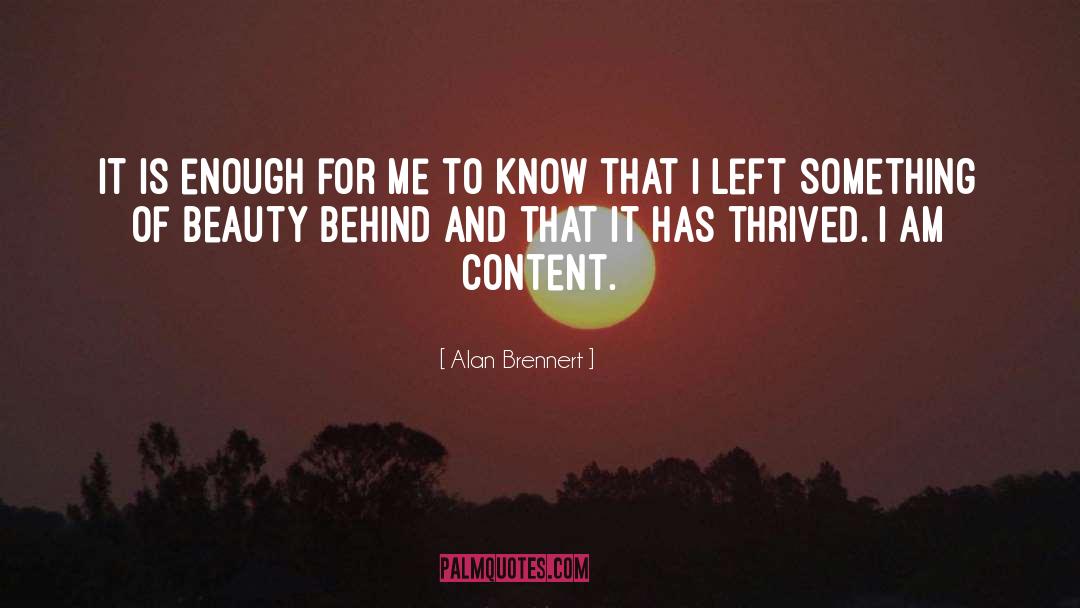 Art And Life quotes by Alan Brennert