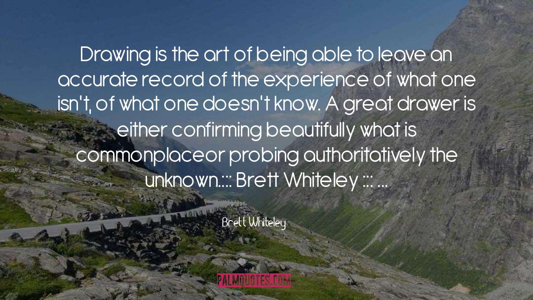 Art Drawing quotes by Brett Whiteley