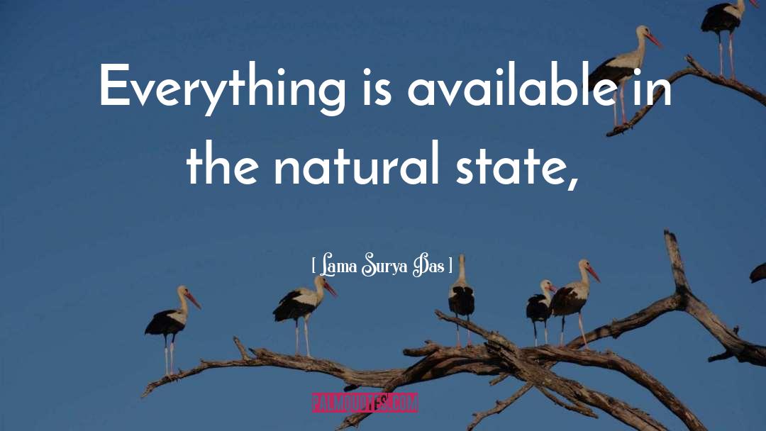 Art Is Everything quotes by Lama Surya Das