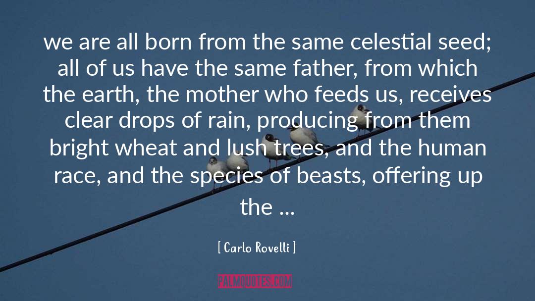 Art Lush Life quotes by Carlo Rovelli