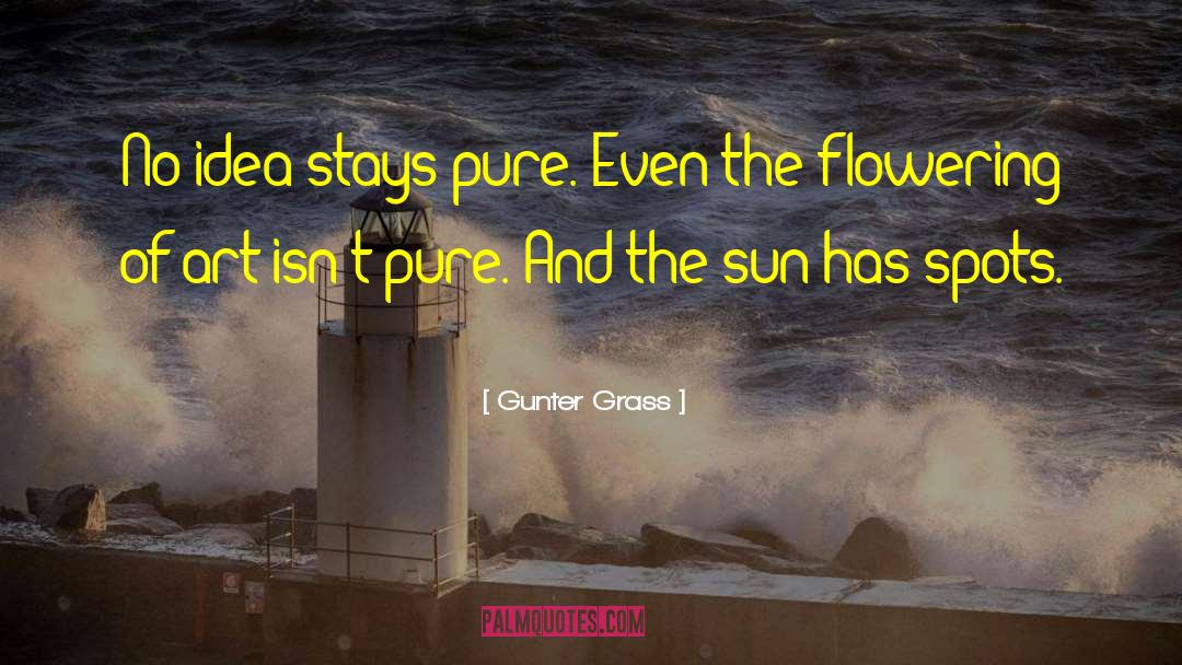 Art Making quotes by Gunter Grass