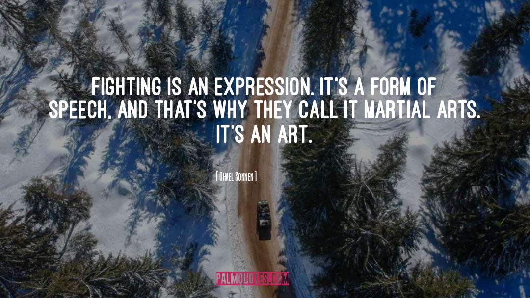 Art Museum quotes by Chael Sonnen