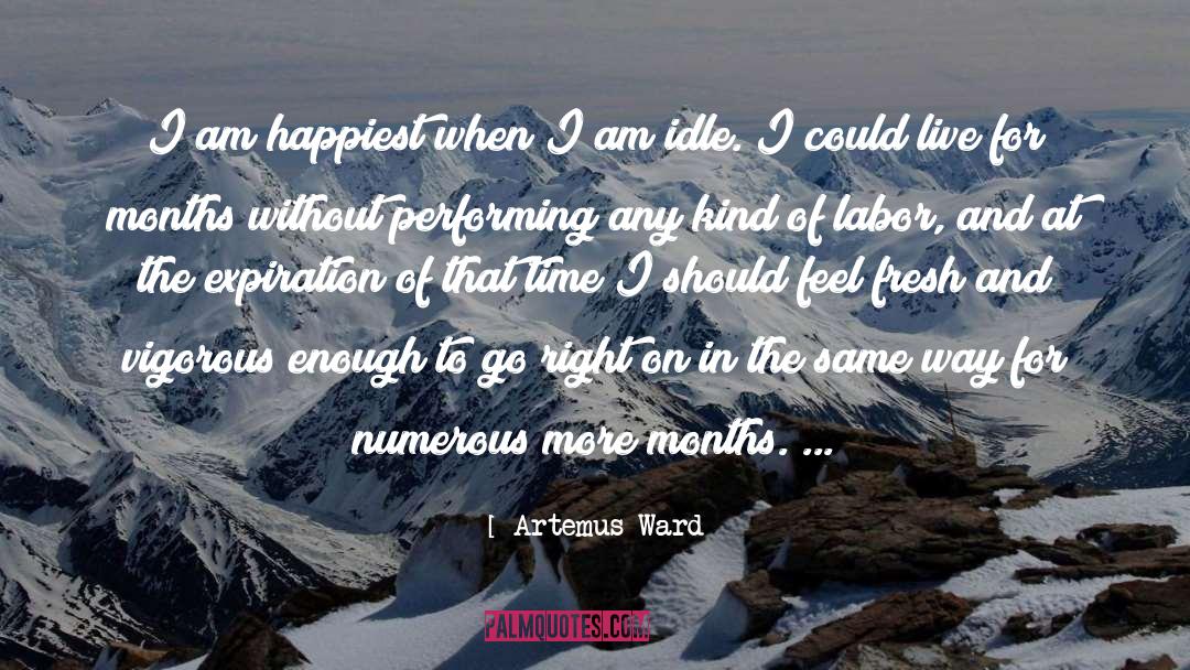 Artemus quotes by Artemus Ward