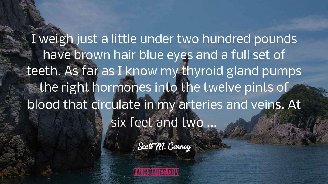 Arteries quotes by Scott M. Carney