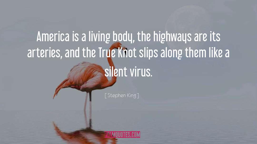 Arteries quotes by Stephen King