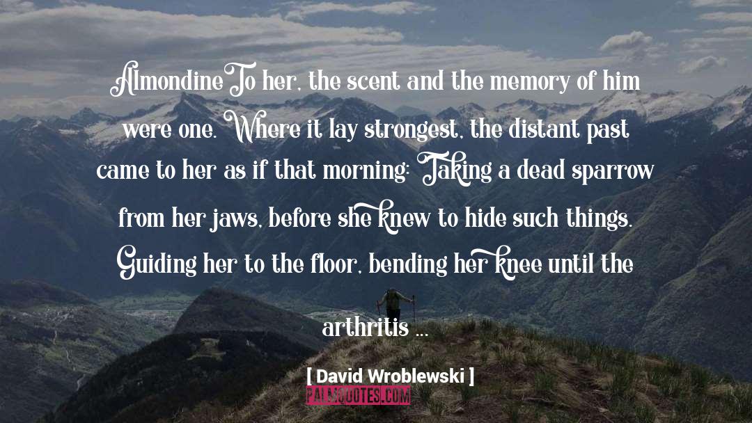 Arthritis quotes by David Wroblewski