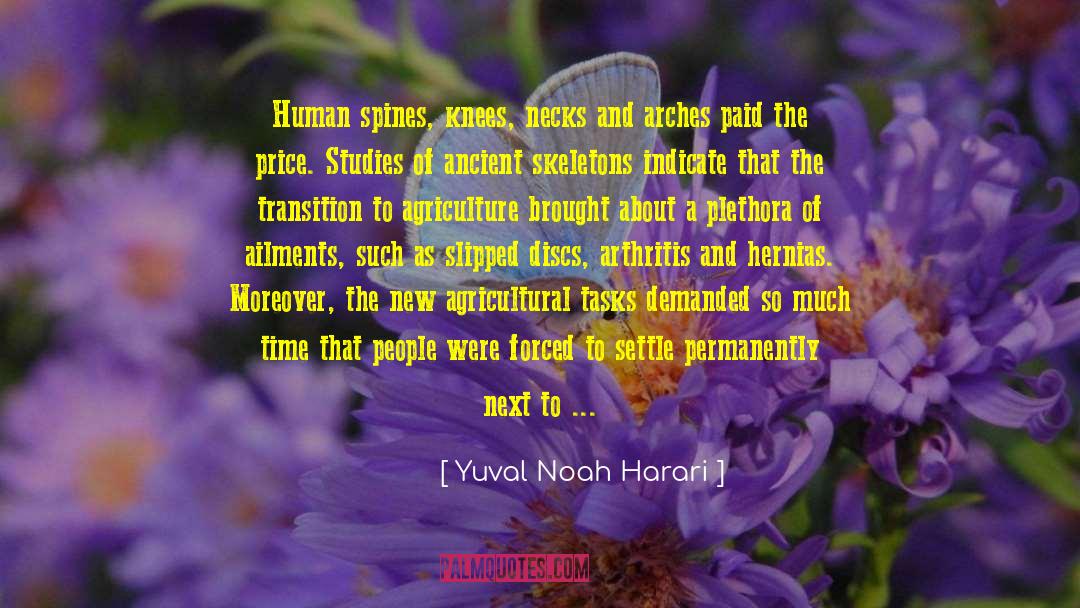 Arthritis quotes by Yuval Noah Harari