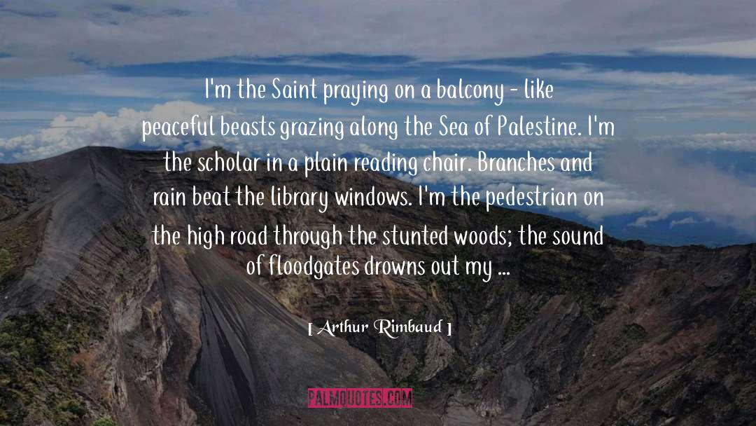 Arthur Rimbaud quotes by Arthur Rimbaud