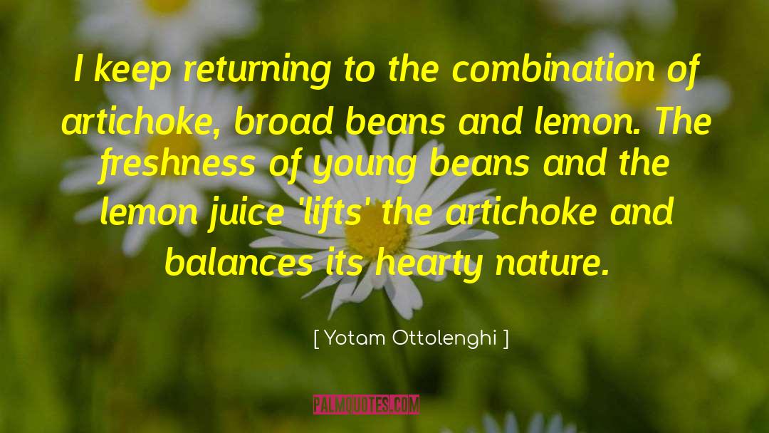 Artichoke quotes by Yotam Ottolenghi