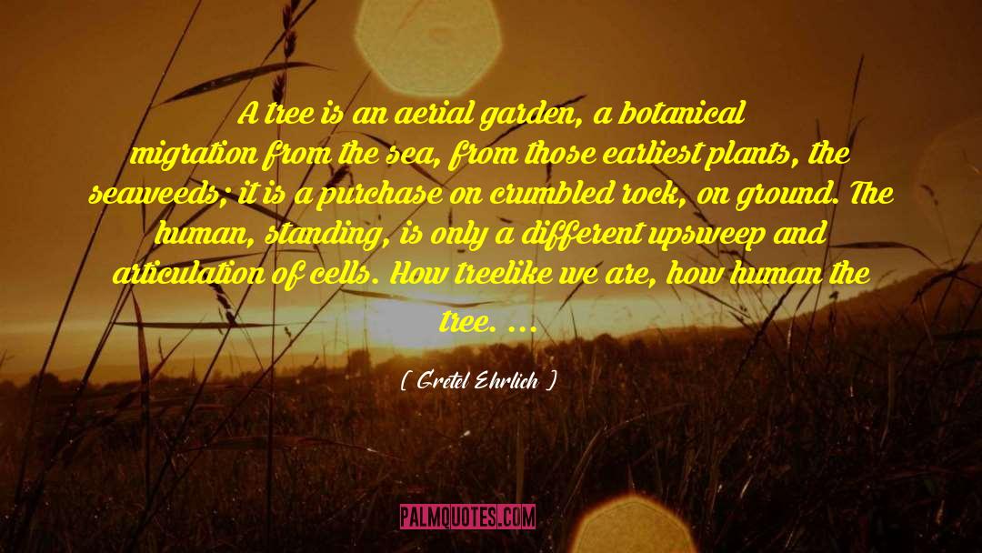 Articulation quotes by Gretel Ehrlich