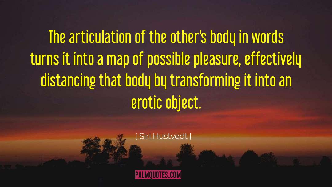 Articulation quotes by Siri Hustvedt