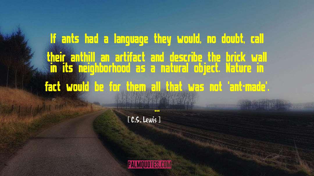 Artifact quotes by C.S. Lewis