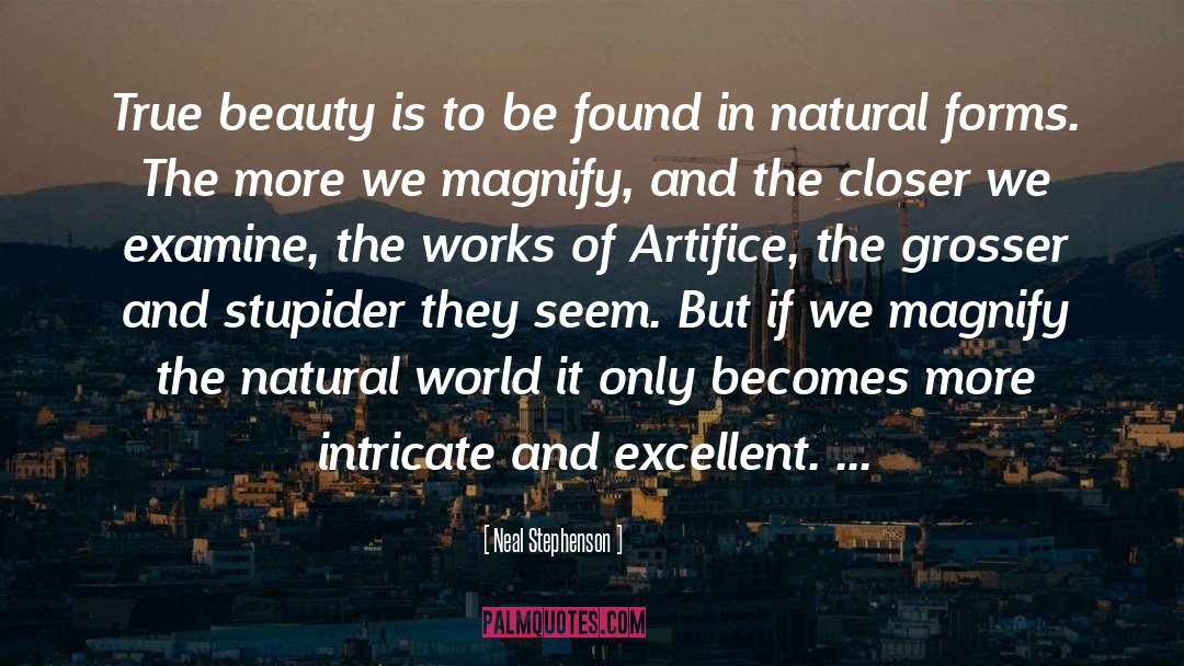 Artifice quotes by Neal Stephenson