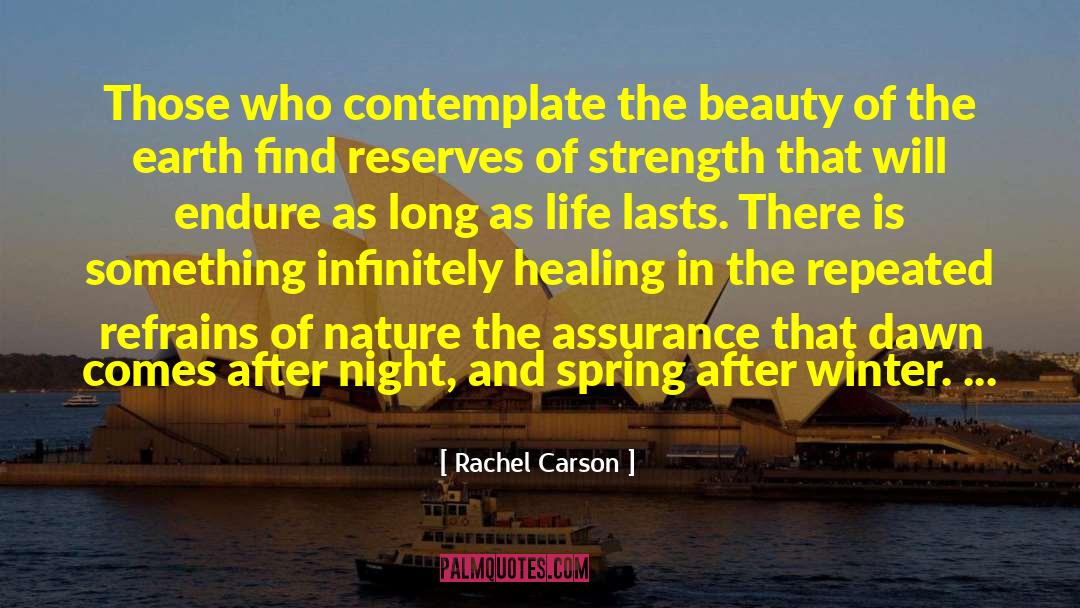 Artificial Beauty quotes by Rachel Carson