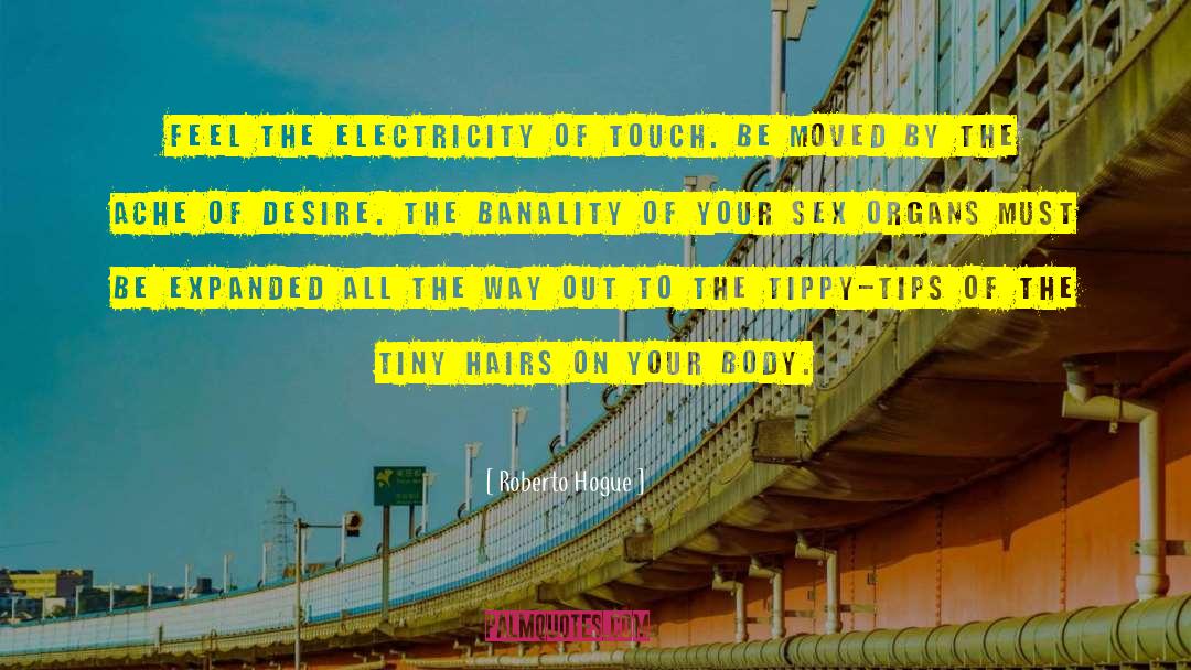 Artificial Electricity quotes by Roberto Hogue