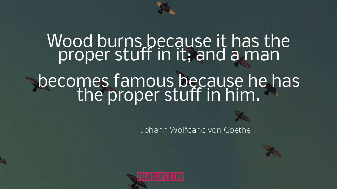 Artificial Fertilizers quotes by Johann Wolfgang Von Goethe