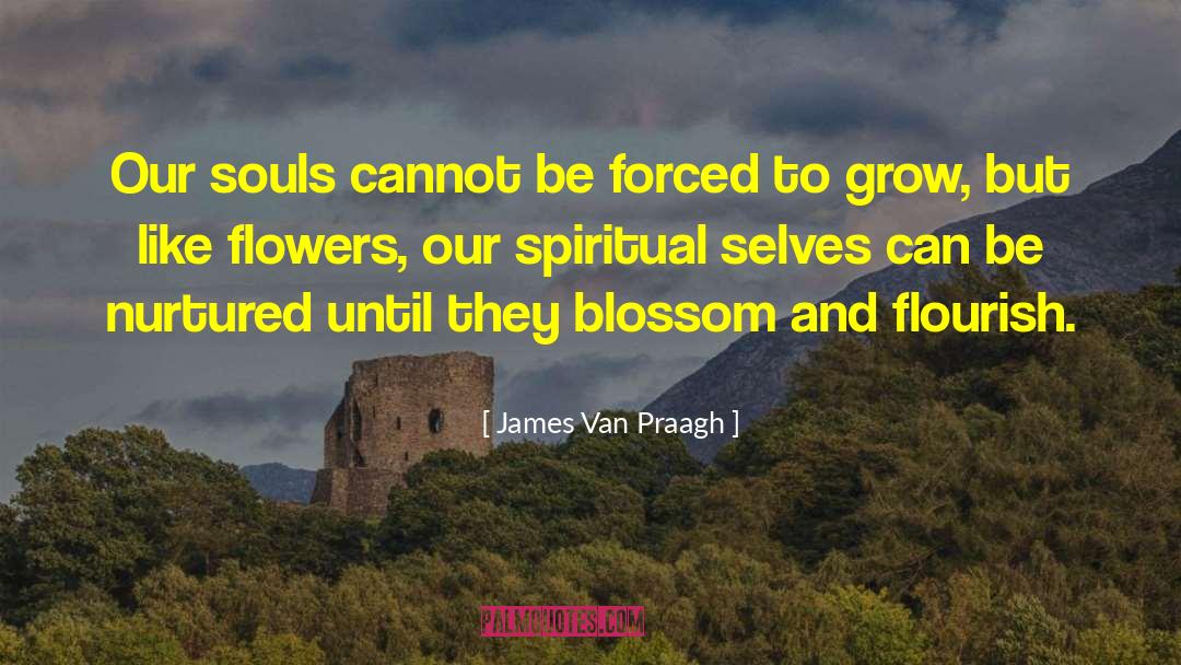 Artificial Flowers quotes by James Van Praagh