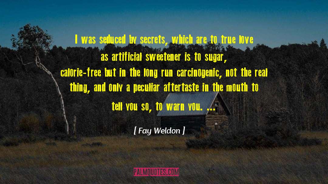 Artificial Sweetener quotes by Fay Weldon