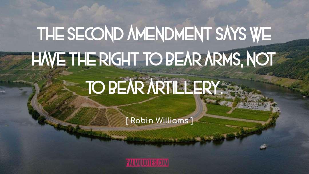 Artillery quotes by Robin Williams