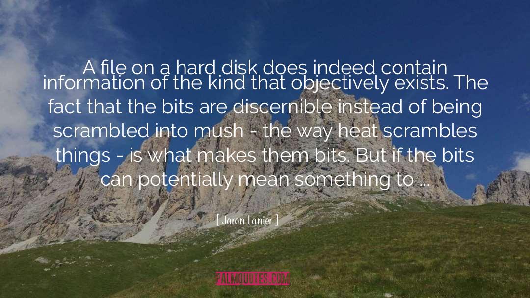 Artist Of Being Alive quotes by Jaron Lanier