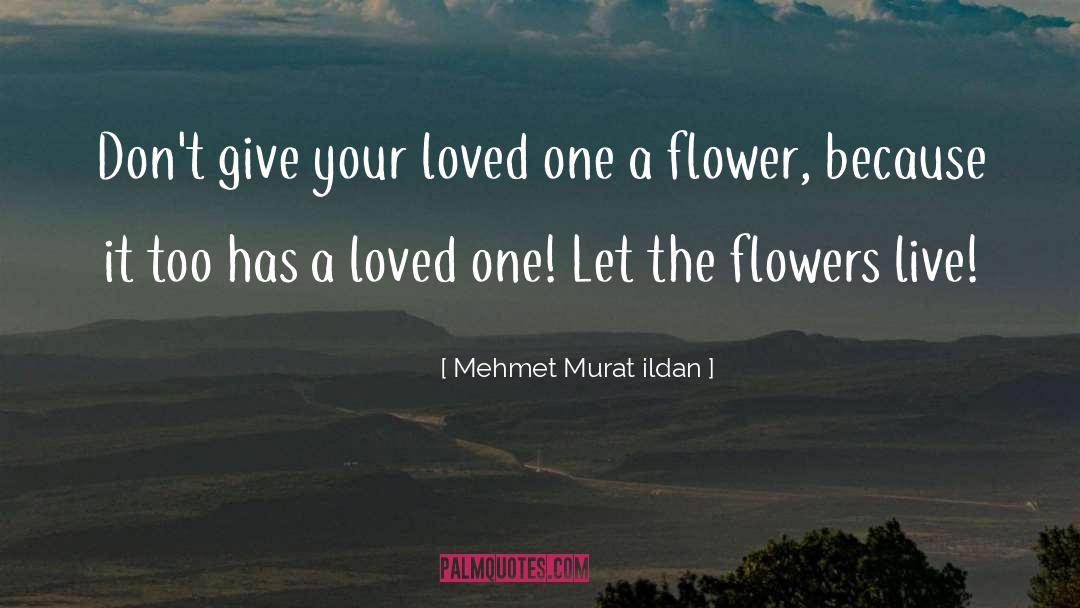 Artist Paints A Flower quotes by Mehmet Murat Ildan