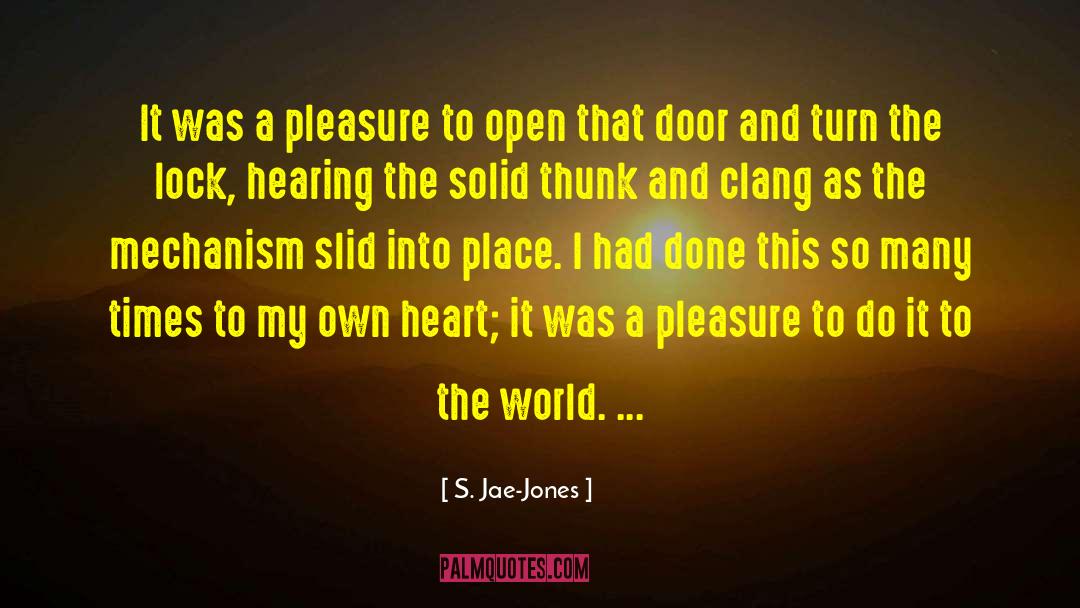 Artist S World quotes by S. Jae-Jones