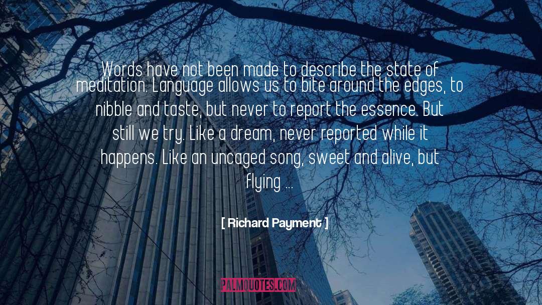 Artistic Creation quotes by Richard Payment