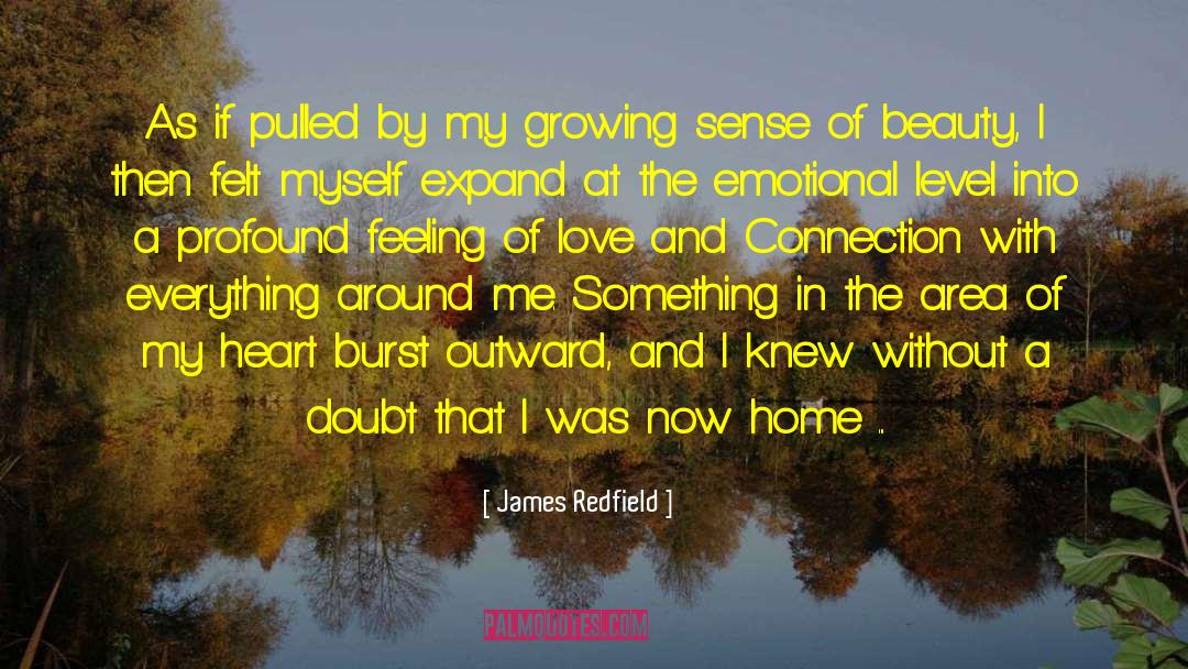 Artistic Emotional Connection quotes by James Redfield
