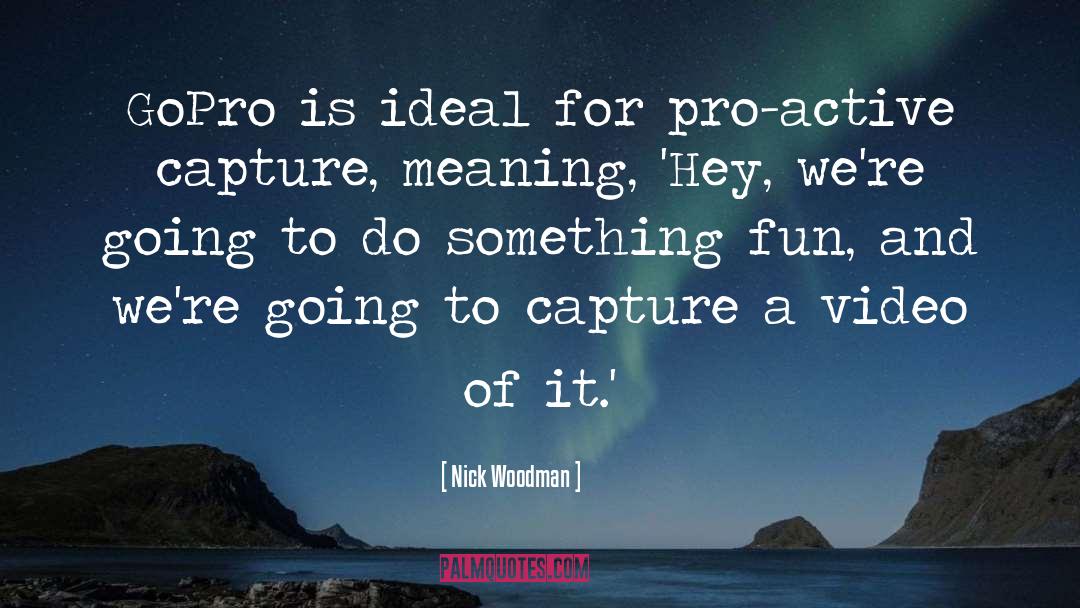 Artistic Ideal quotes by Nick Woodman