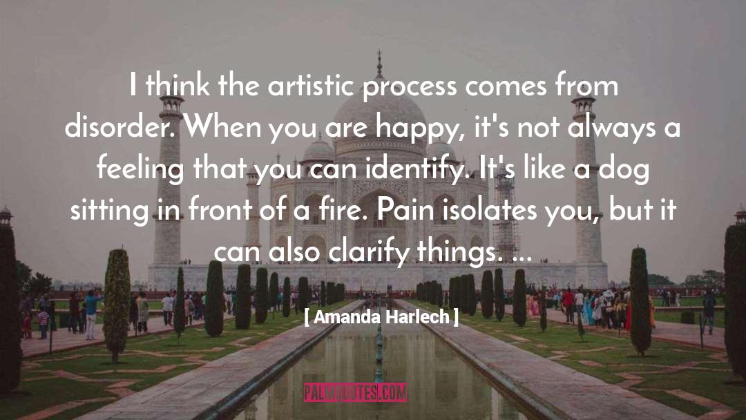 Artistic Process quotes by Amanda Harlech