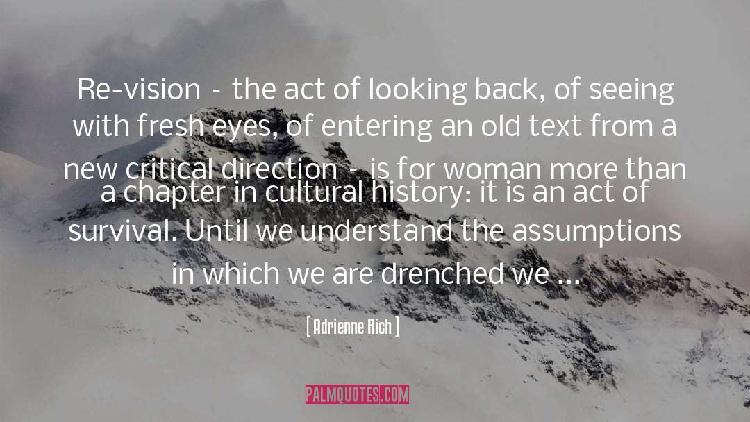 Artistic Vision quotes by Adrienne Rich