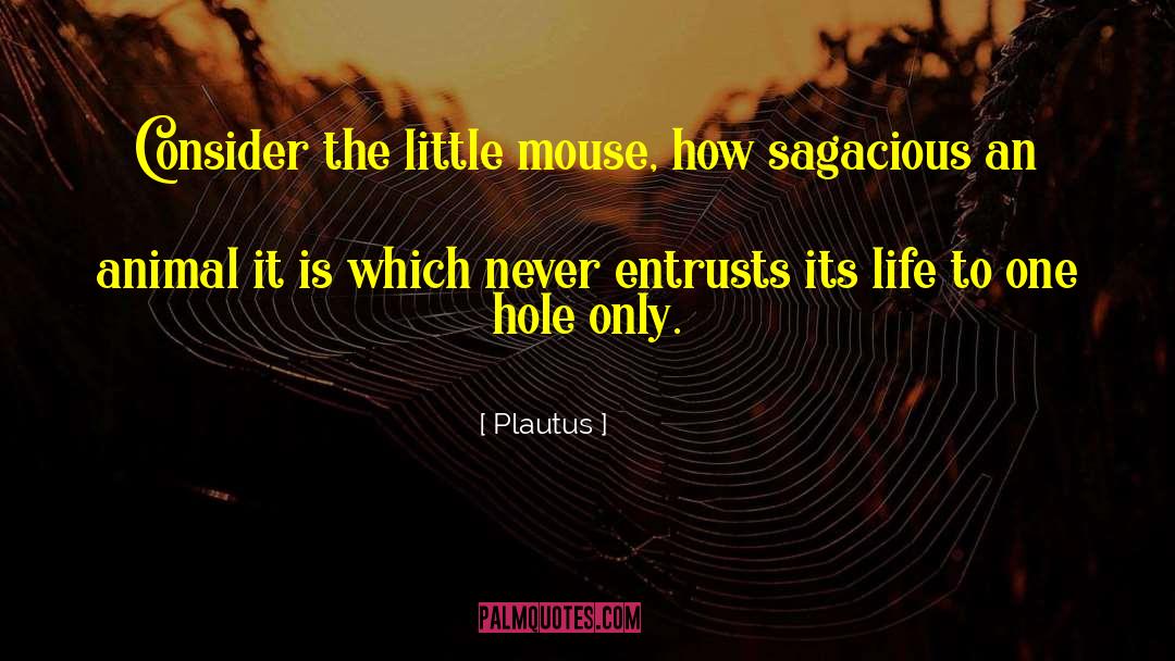 Artists Life quotes by Plautus