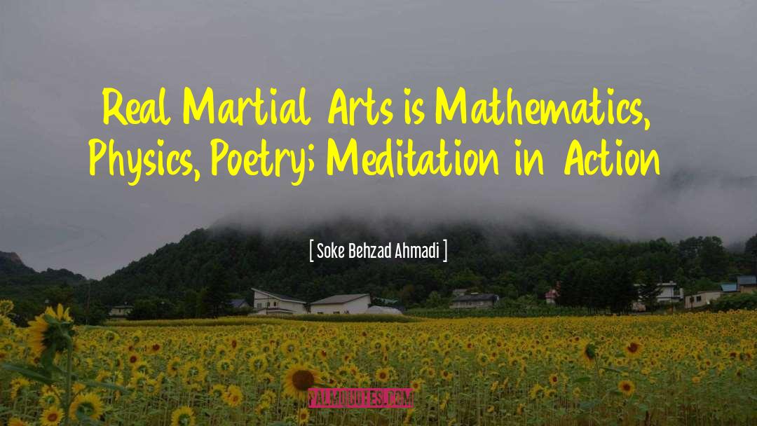 Arts Patron quotes by Soke Behzad Ahmadi