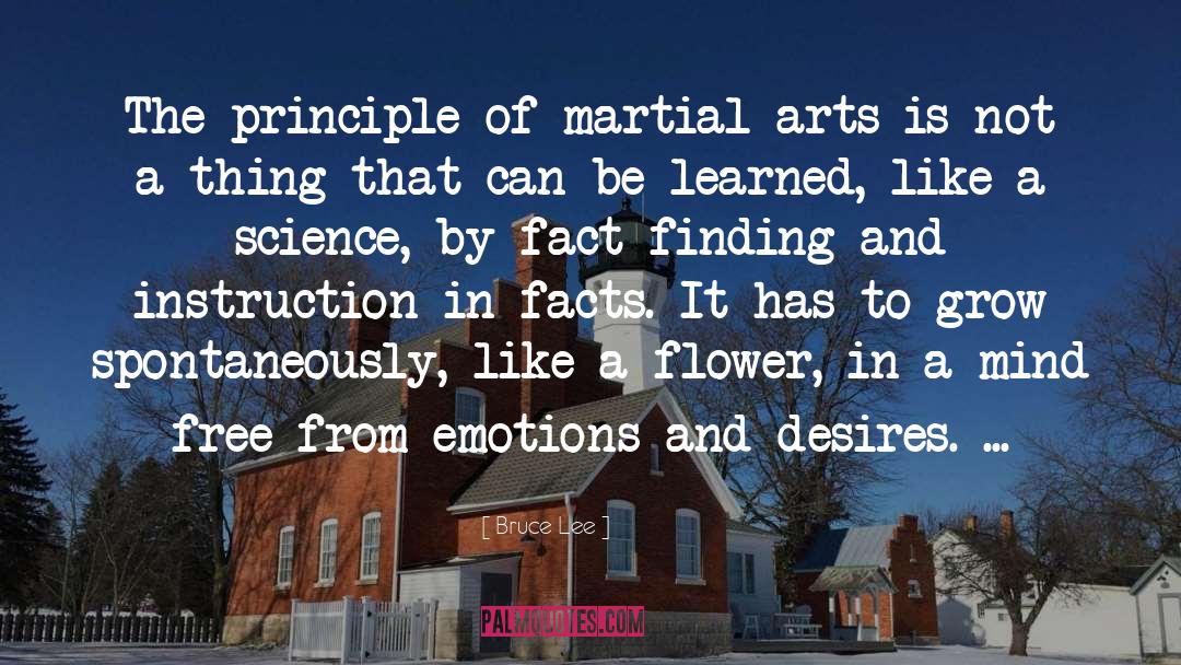 Arts quotes by Bruce Lee