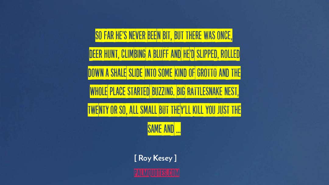 Arundati Roy quotes by Roy Kesey