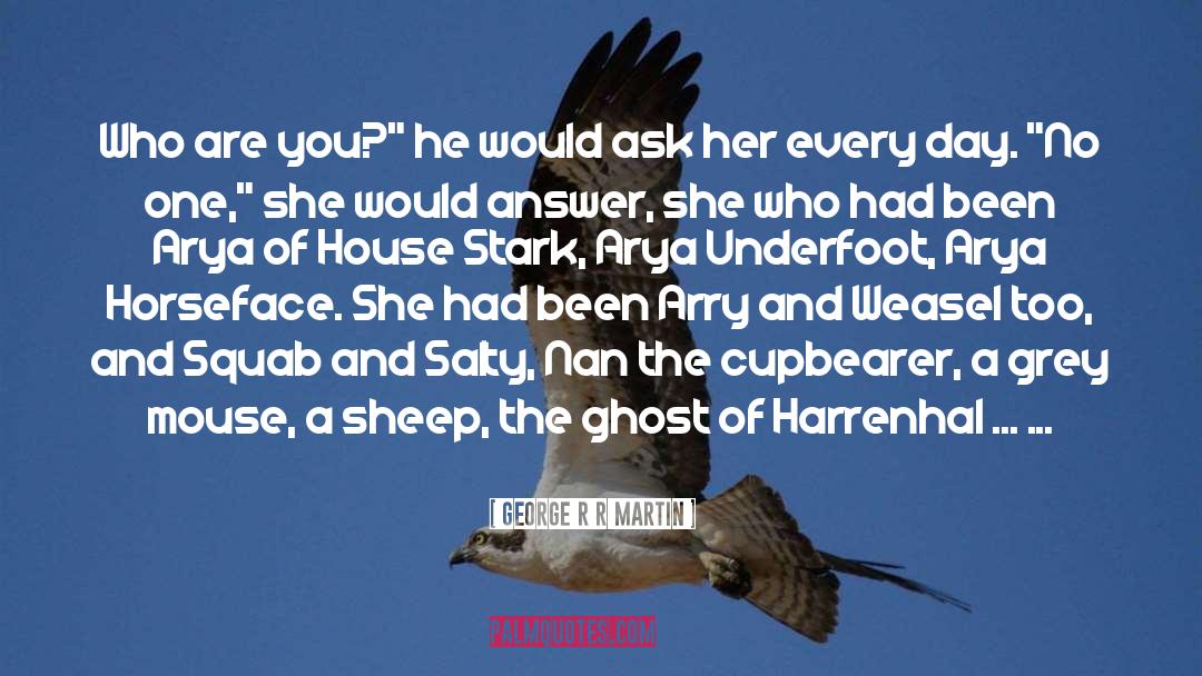 Arya Stark quotes by George R R Martin