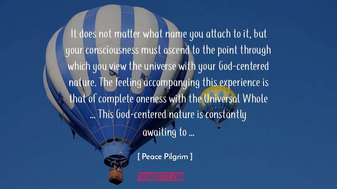 Ascend quotes by Peace Pilgrim