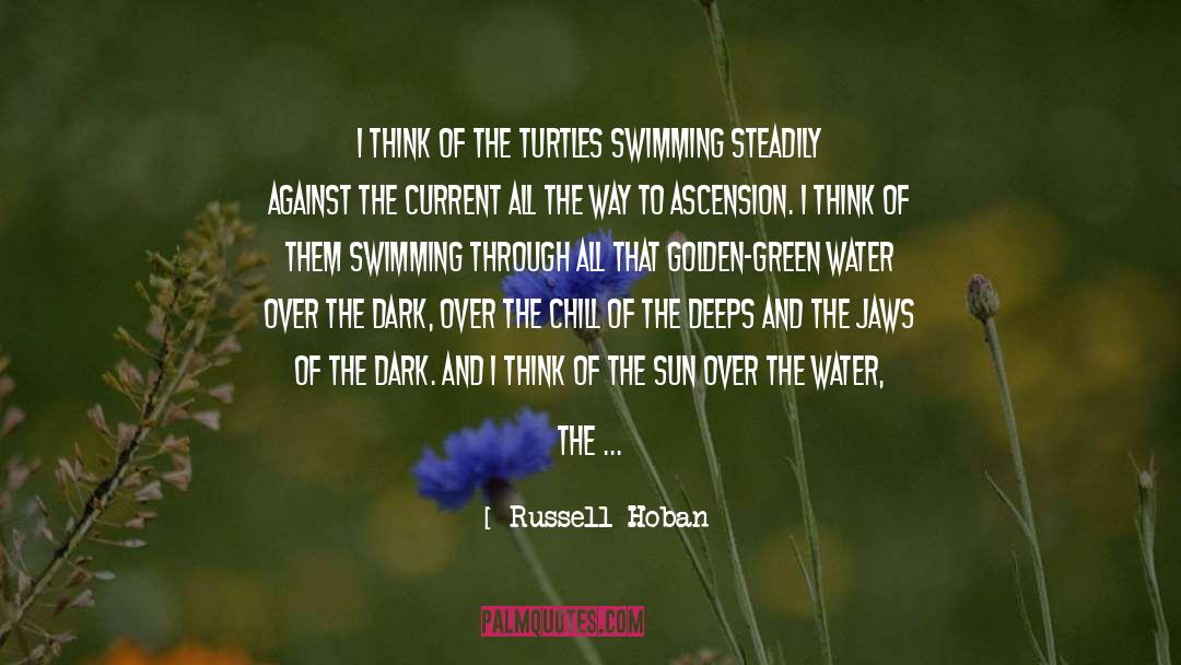 Ascension quotes by Russell Hoban