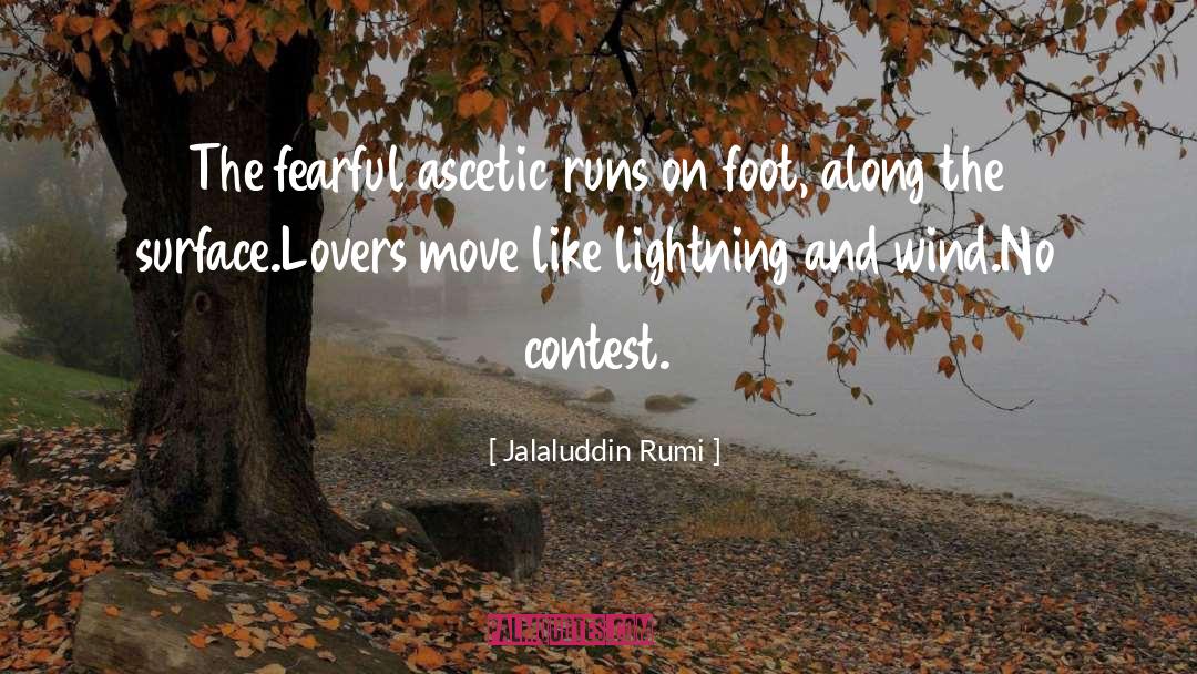 Ascetic quotes by Jalaluddin Rumi